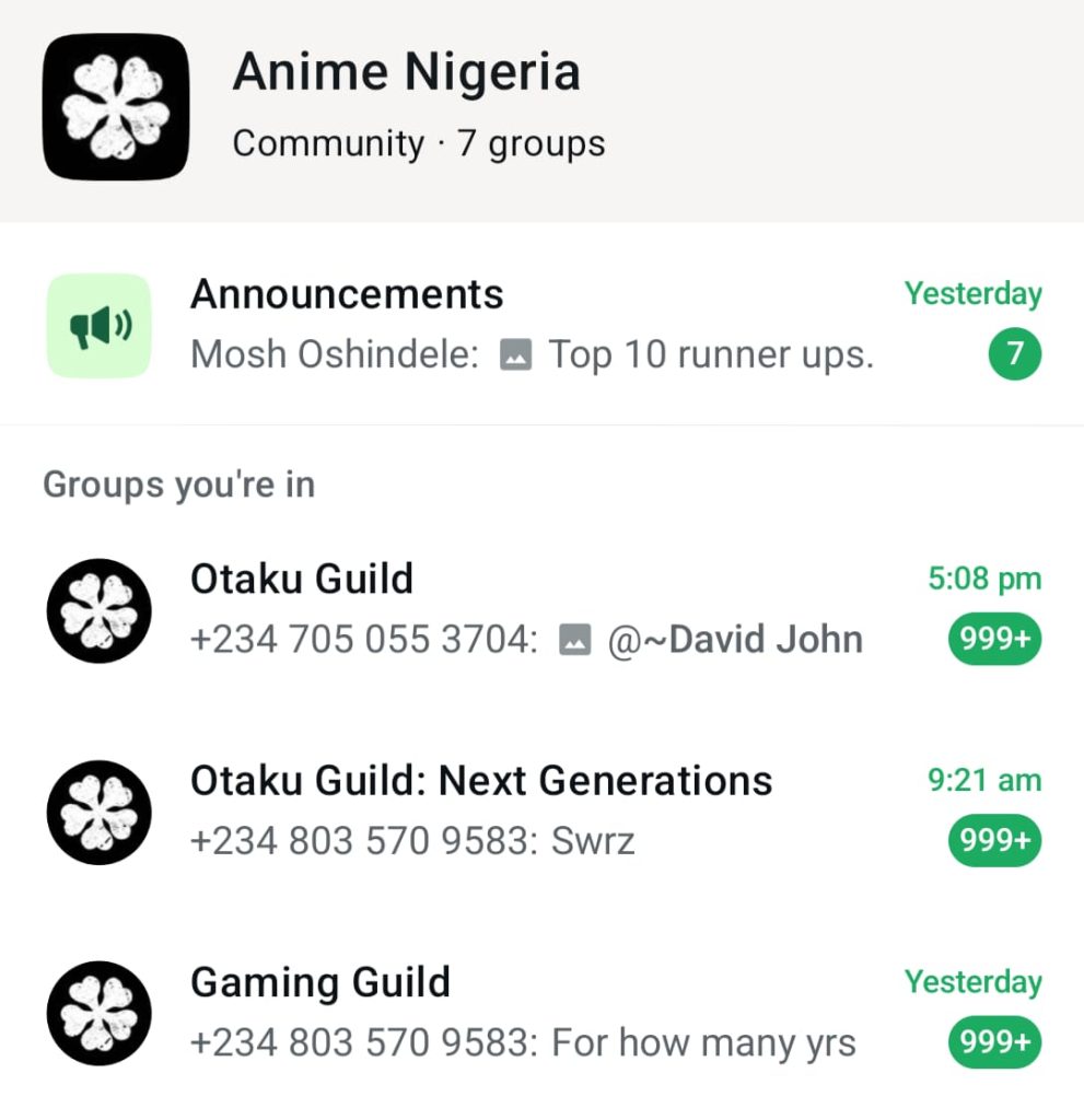Nigerian Anime Community