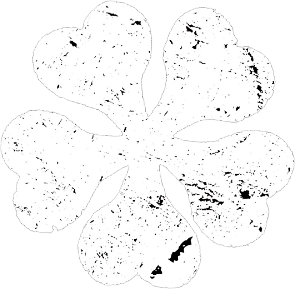 Anime Nigeria Logo